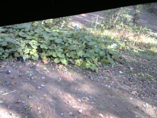 長野県菅平高原 ゆたか山荘 駐車場 2025/10/24 13:00