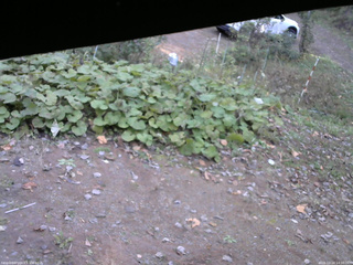 長野県菅平高原 ゆたか山荘 駐車場 2025/10/24 14:00
