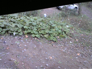 長野県菅平高原 ゆたか山荘 駐車場 2025/10/24 14:15