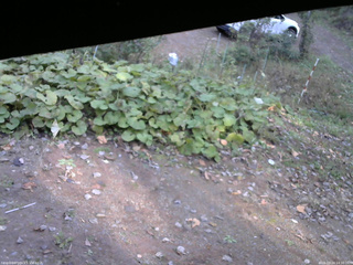 長野県菅平高原 ゆたか山荘 駐車場 2025/10/24 14:30