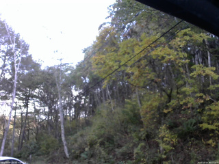 長野県菅平高原 ゆたか山荘 東側上空 2025/10/24 15:15