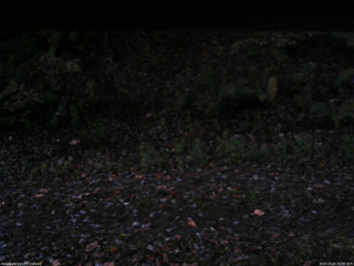 長野県菅平高原 ゆたか山荘 南側 2025/10/25 05:45