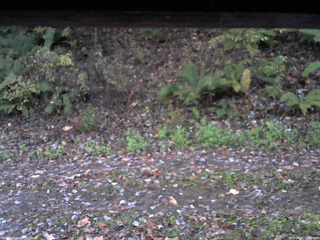 長野県菅平高原 ゆたか山荘 南側 2025/10/25 06:00