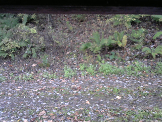 長野県菅平高原 ゆたか山荘 南側 2025/10/25 06:15