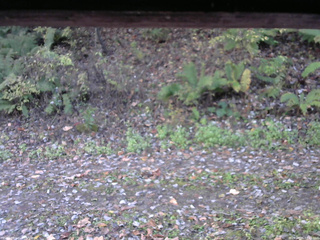 長野県菅平高原 ゆたか山荘 南側 2025/10/25 07:15