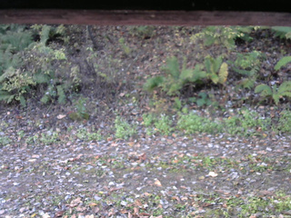 長野県菅平高原 ゆたか山荘 南側 2025/10/25 07:30