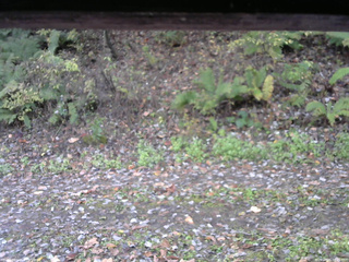 長野県菅平高原 ゆたか山荘 南側 2025/10/25 08:15