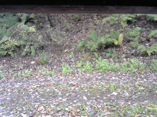 長野県菅平高原 ゆたか山荘 南側 2025/10/25 08:30