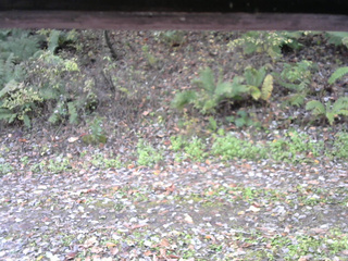 長野県菅平高原 ゆたか山荘 南側 2025/10/25 08:45