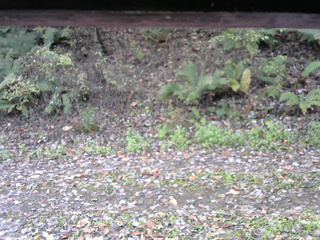 長野県菅平高原 ゆたか山荘 南側 2025/10/25 09:00