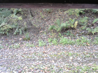 長野県菅平高原 ゆたか山荘 南側 2025/10/25 09:30