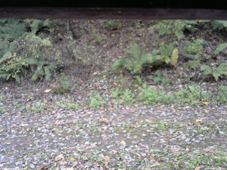 長野県菅平高原 ゆたか山荘 南側 2025/10/25 10:15