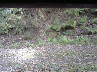 長野県菅平高原 ゆたか山荘 南側 2025/10/25 10:30