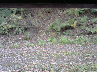 長野県菅平高原 ゆたか山荘 南側 2025/10/25 10:45