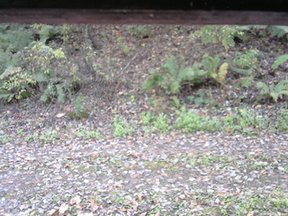 長野県菅平高原 ゆたか山荘 南側 2025/10/25 11:00