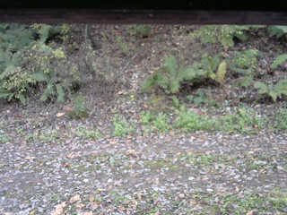 長野県菅平高原 ゆたか山荘 南側 2025/10/25 11:15