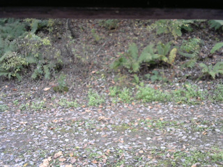 長野県菅平高原 ゆたか山荘 南側 2025/10/25 11:30