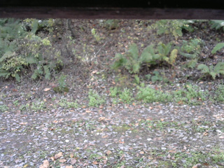 長野県菅平高原 ゆたか山荘 南側 2025/10/25 11:45