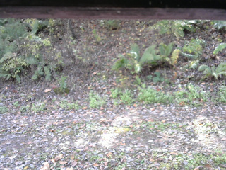 長野県菅平高原 ゆたか山荘 南側 2025/10/25 12:00