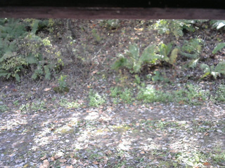 長野県菅平高原 ゆたか山荘 南側 2025/10/25 12:15