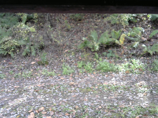 長野県菅平高原 ゆたか山荘 南側 2025/10/25 12:30