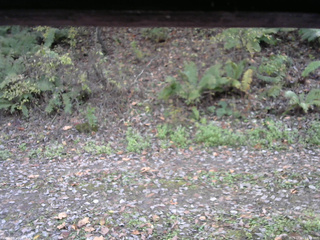 長野県菅平高原 ゆたか山荘 南側 2025/10/25 12:45