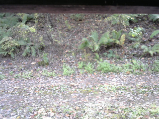 長野県菅平高原 ゆたか山荘 南側 2025/10/25 13:00