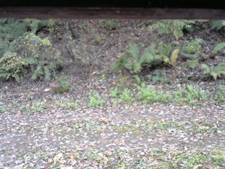 長野県菅平高原 ゆたか山荘 南側 2025/10/25 13:15