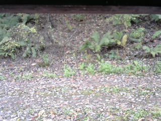 長野県菅平高原 ゆたか山荘 南側 2025/10/25 13:30