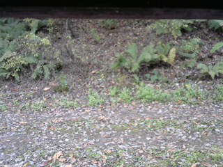 長野県菅平高原 ゆたか山荘 南側 2025/10/25 13:45