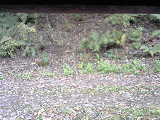 長野県菅平高原 ゆたか山荘 南側 2025/10/25 14:00