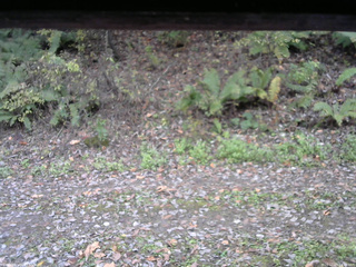 長野県菅平高原 ゆたか山荘 南側 2025/10/25 14:30