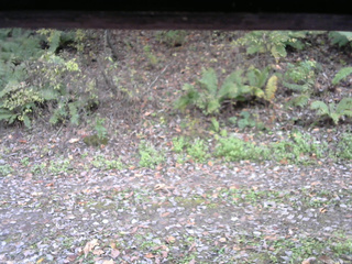 長野県菅平高原 ゆたか山荘 南側 2025/10/25 14:45