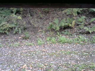 長野県菅平高原 ゆたか山荘 南側 2025/10/25 15:00