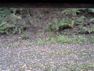 長野県菅平高原 ゆたか山荘 南側 2025/10/25 15:15