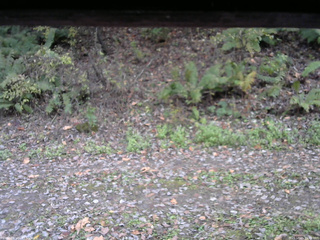 長野県菅平高原 ゆたか山荘 南側 2025/10/25 15:45