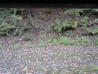 長野県菅平高原 ゆたか山荘 南側 2025/10/25 16:00