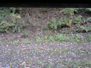 長野県菅平高原 ゆたか山荘 南側 2025/10/25 16:15