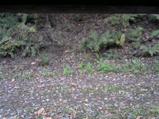 長野県菅平高原 ゆたか山荘 南側 2025/10/25 16:45