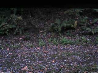 長野県菅平高原 ゆたか山荘 南側 2025/10/25 17:00