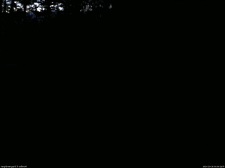 長野県菅平高原 ゆたか山荘 東側(坂下) 2025/10/25 05:30