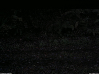 長野県菅平高原 ゆたか山荘 南側 2025/10/26 06:00