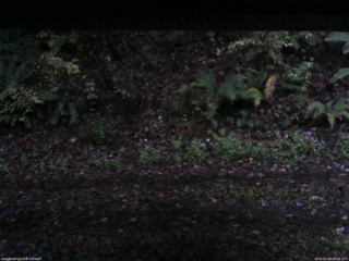 長野県菅平高原 ゆたか山荘 南側 2025/10/26 06:15