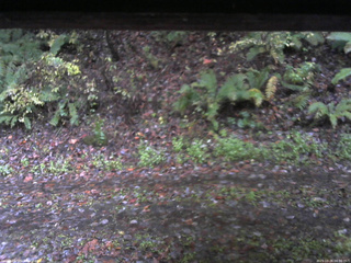 長野県菅平高原 ゆたか山荘 南側 2025/10/26 06:30