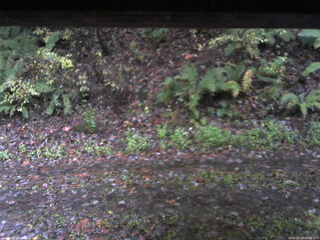 長野県菅平高原 ゆたか山荘 南側 2025/10/26 06:45