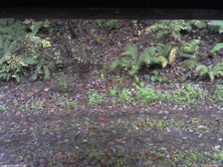 長野県菅平高原 ゆたか山荘 南側 2025/10/26 07:00