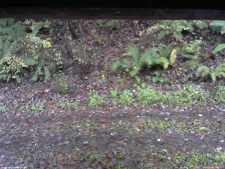 長野県菅平高原 ゆたか山荘 南側 2025/10/26 07:30