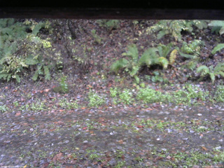 長野県菅平高原 ゆたか山荘 南側 2025/10/26 07:45