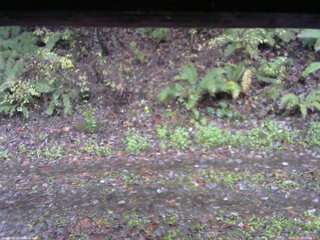 長野県菅平高原 ゆたか山荘 南側 2025/10/26 08:00