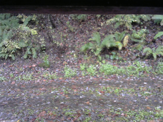 長野県菅平高原 ゆたか山荘 南側 2025/10/26 08:15